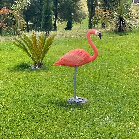 Villa Le Torri Bed and breakfast Cassino